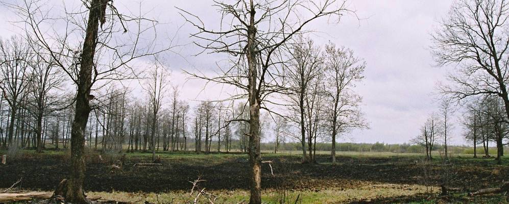 Фотография Оголихино