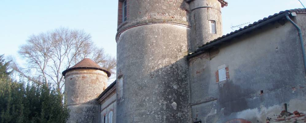 
            Фотография Лонгажа