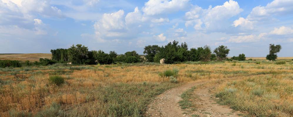 
            Фотография Чагана