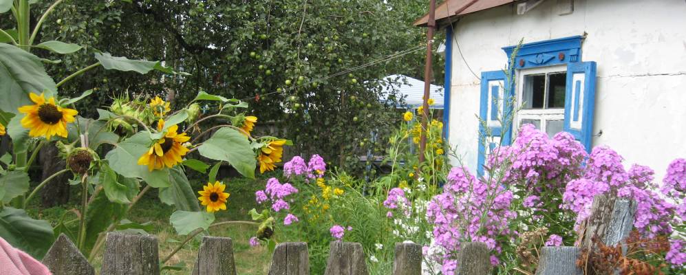 Фотография Плесецкого