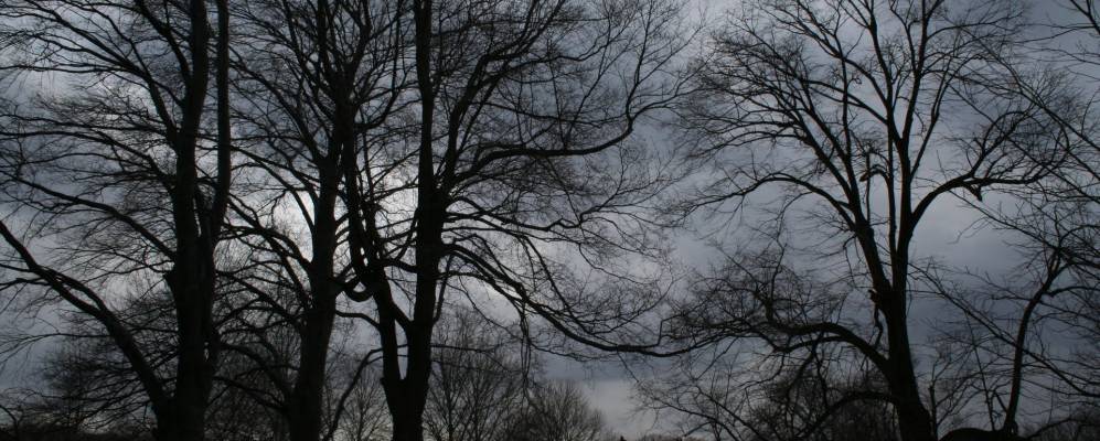 
            Фотография Сендс Поинта