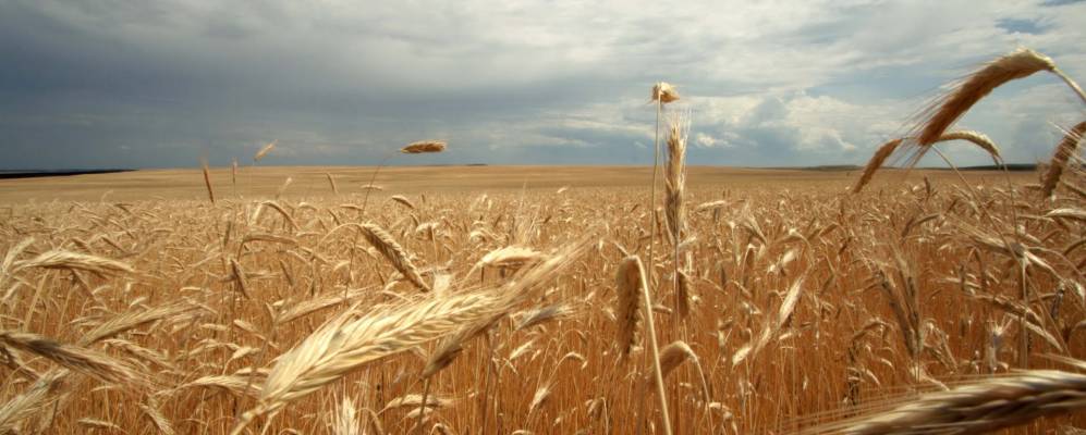 
            Фотография Слободки