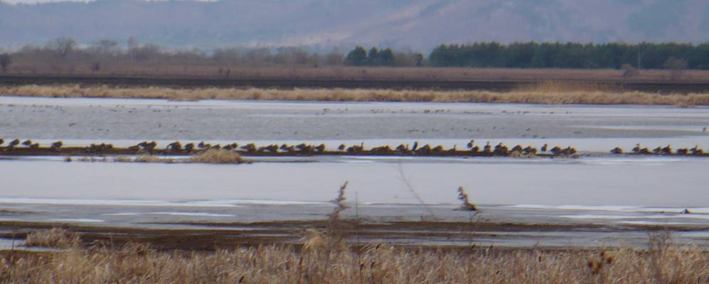 
            Фотография Комиссаровки