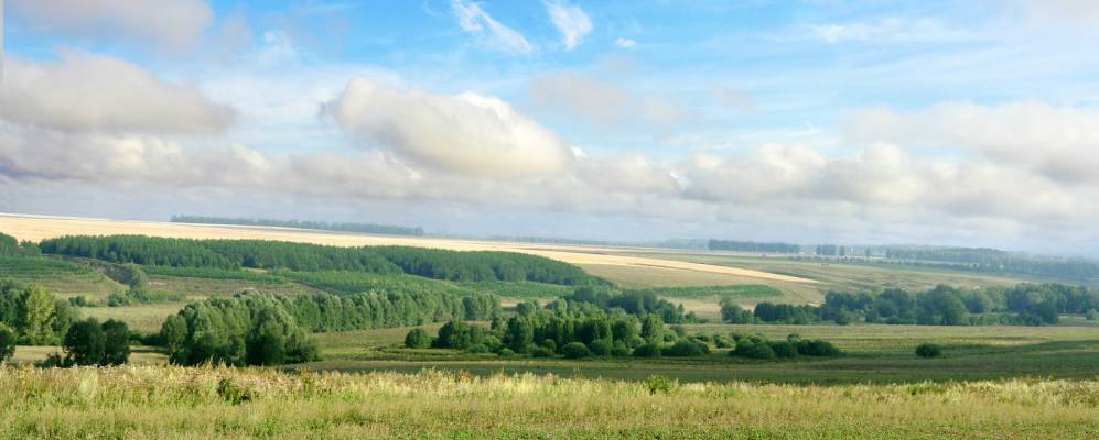 
            Фотография Сикертана