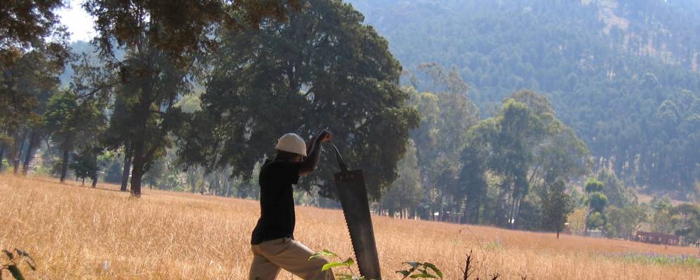 
            Фотография Дедзы