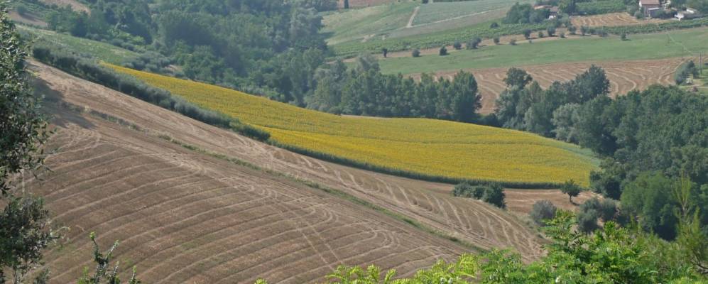 
            Фотография Петритоли