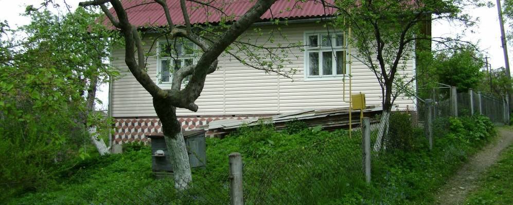 
            Фотография Березова