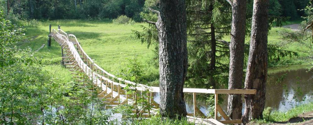 Фотография Мистелово