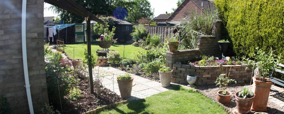 
            Фотография Нектона