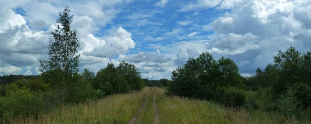 
            Фотография Плотишно