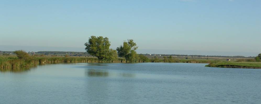 
            Фотография Шелковой