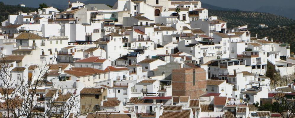 
            Фотография Алосаины