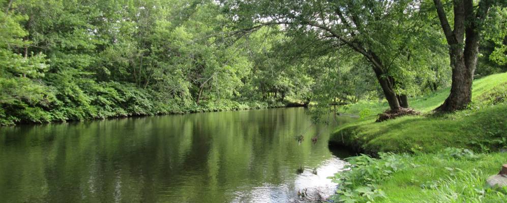 
            Фотография Трупа