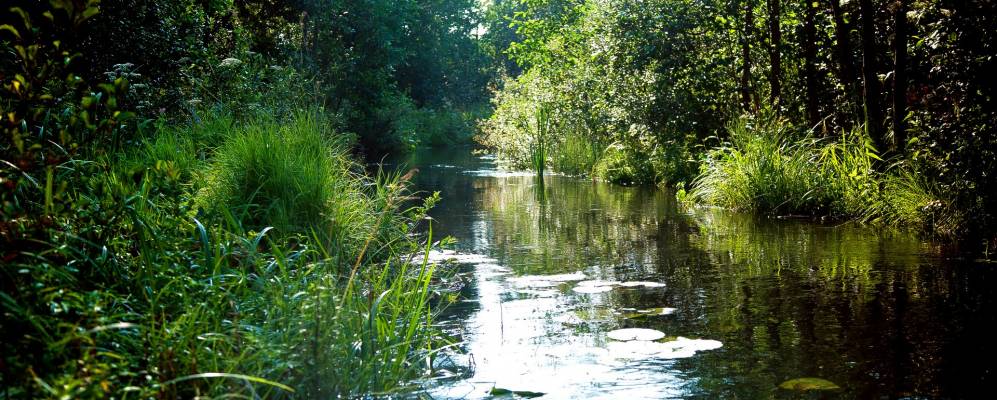 
            Фотография Заберезья