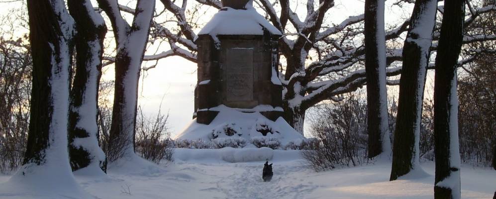 
            Фотография Айсфельда