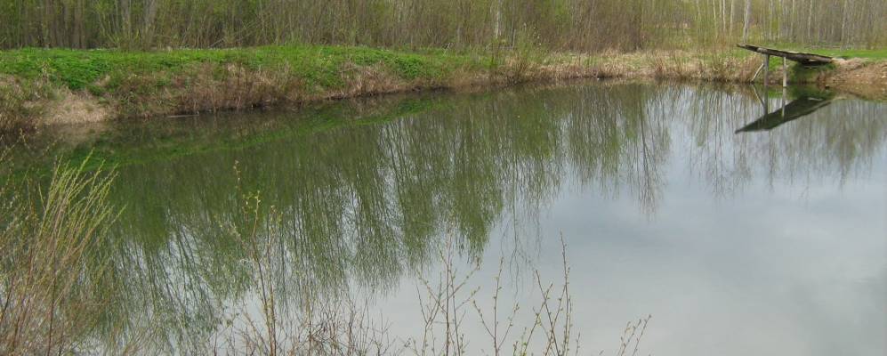 
            Фотография деревни Кути