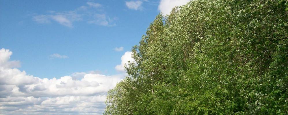 
            Фотография Корчмы