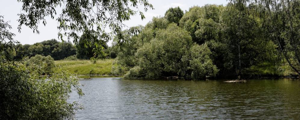 
            Фотография Марково