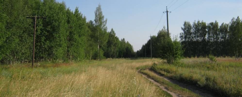 
            Фотография Соболевой