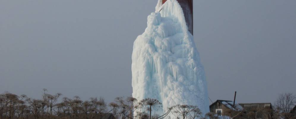 
            Фотография Мохового