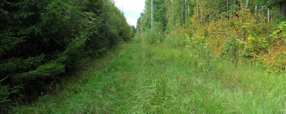 
            Фотография Байдёнок