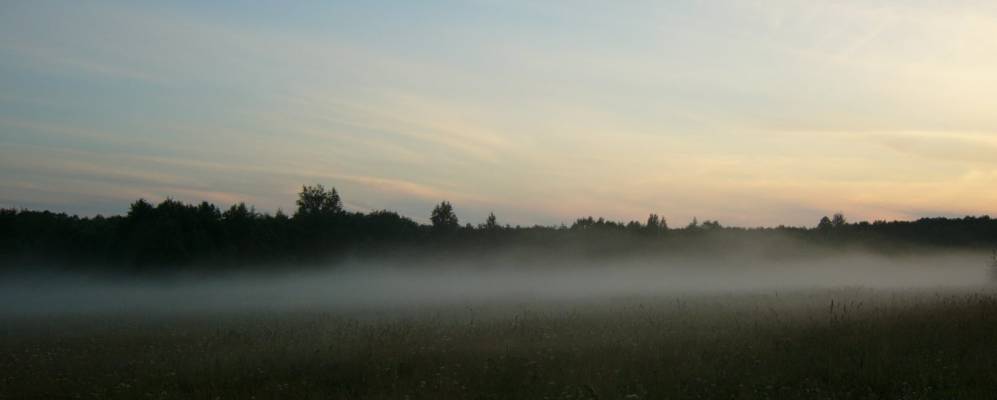 
            Фотография Андроново