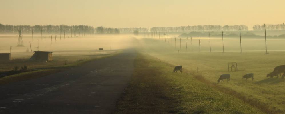 
            Фотография Круглого