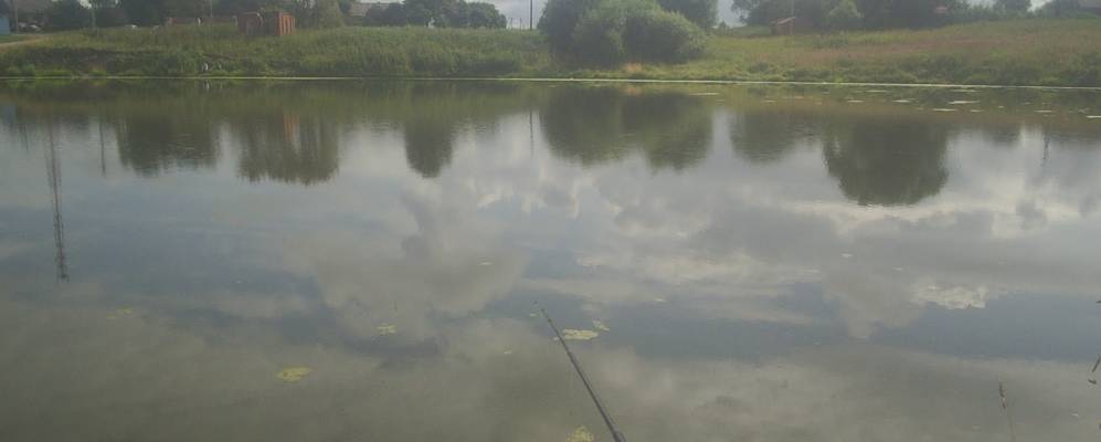 
            Фотография Извеково