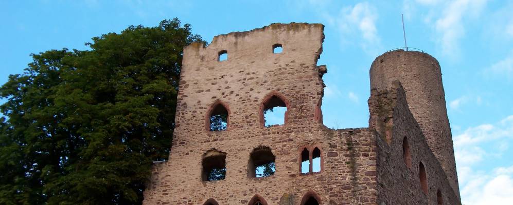 
            Фотография Шрисхайма