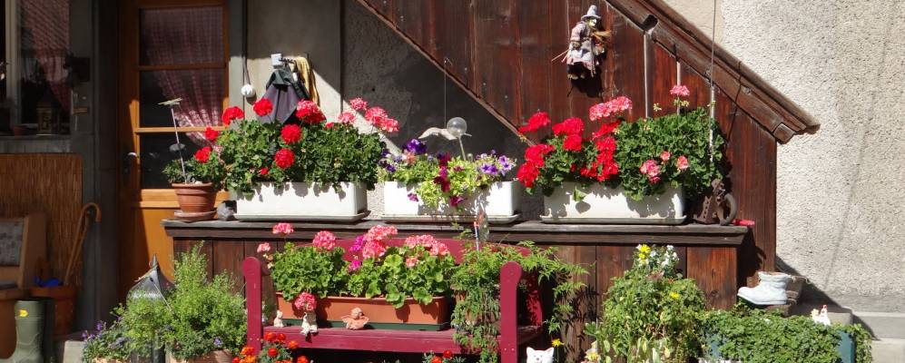 
            Фотография Керсаца