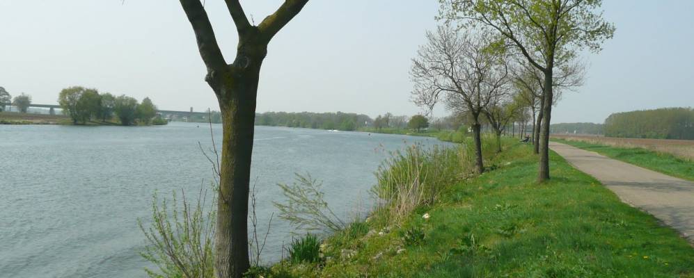 
            Фотография Книккердорпа