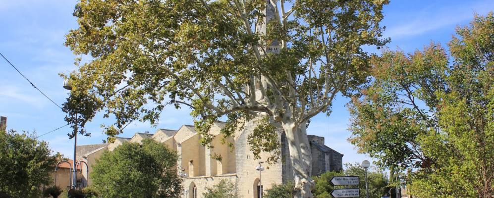 
            Фотография Монфаве