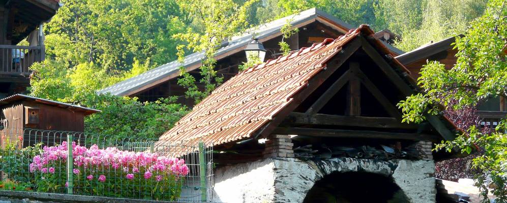 
            Фотография Серво