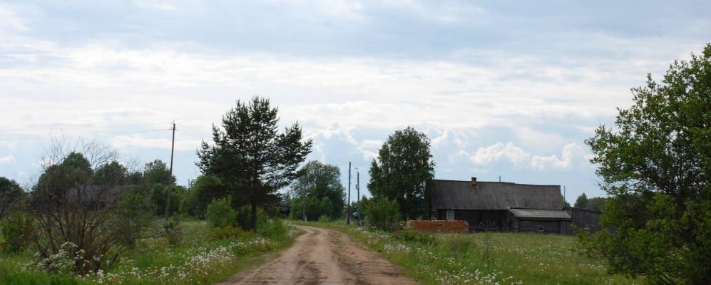 
            Фотография Макаровской