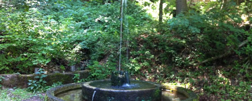 
            Фотография Айтельборна