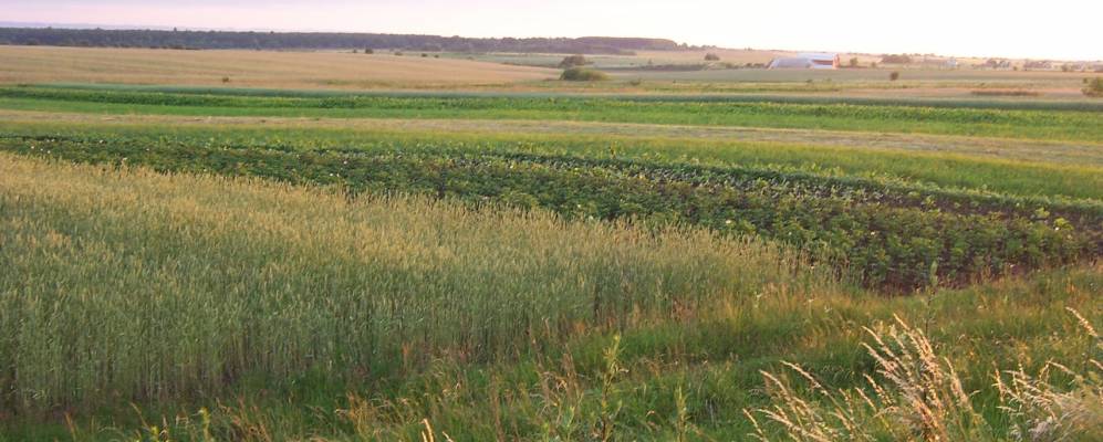 
            Фотография Трудового