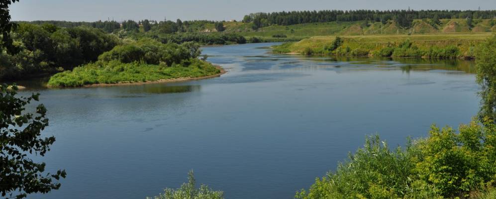 
            Фотография Шаквы