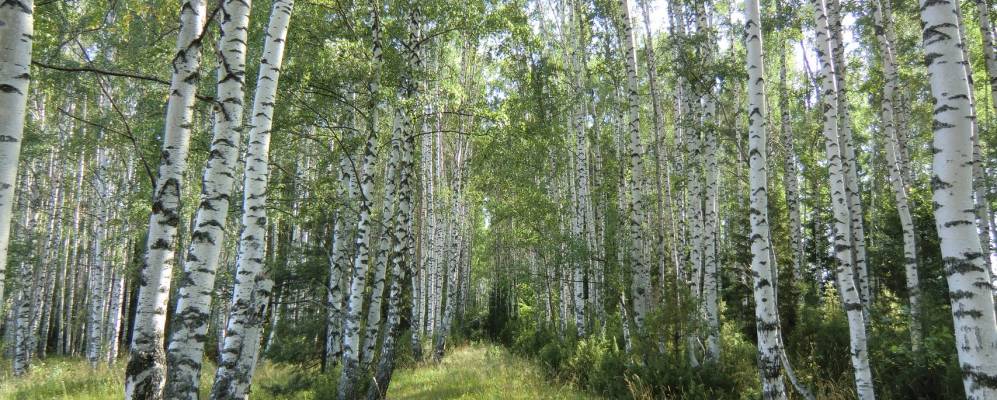 Фотография Красной Горки