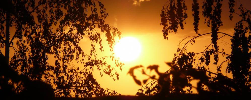 
            Фотография Поляны