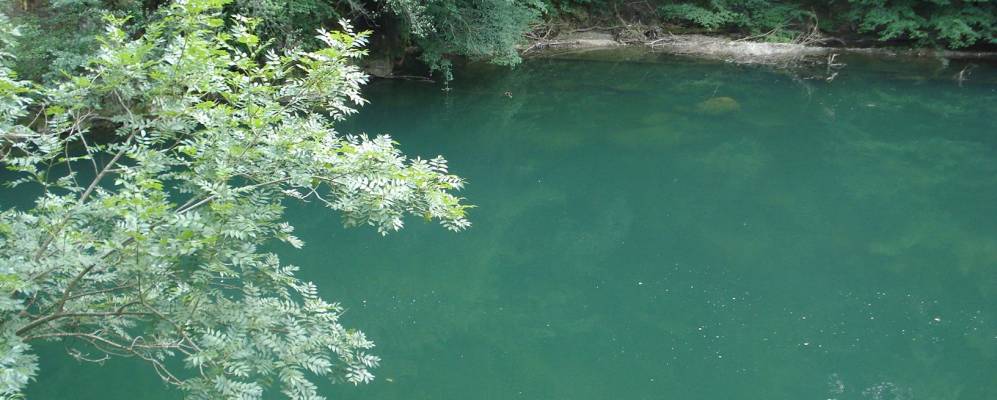 
            Фотография Термине