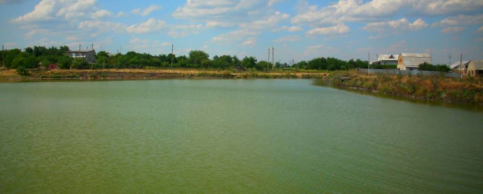 
            Фотография Новые Чобручи