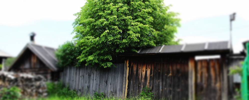 
            Фотография Шадринского