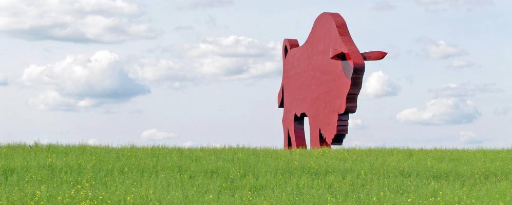 
            Фотография деревни Дудичи