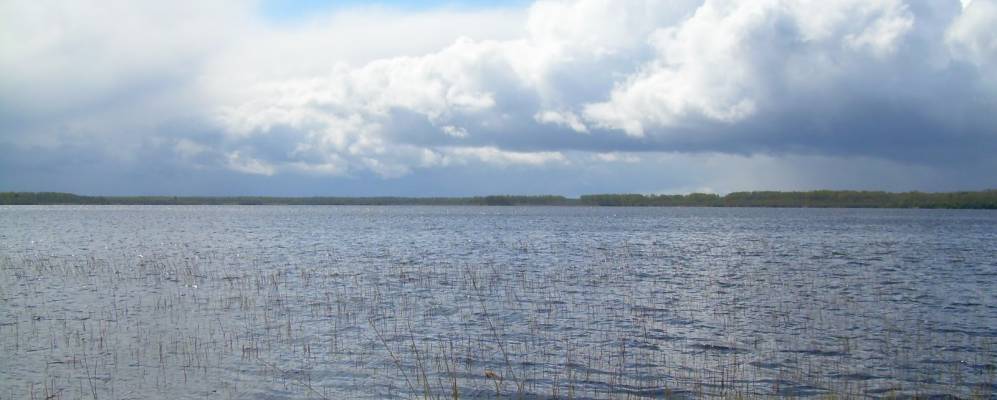 
            Фотография Асташково