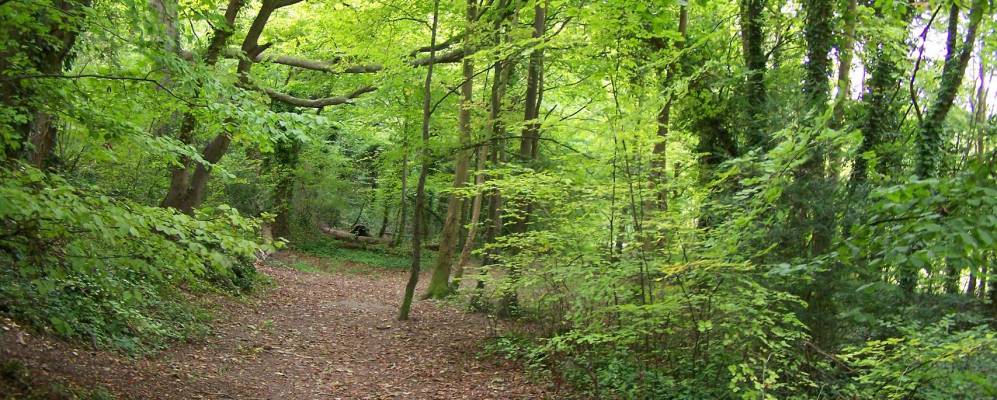 
            Фотография Болдока