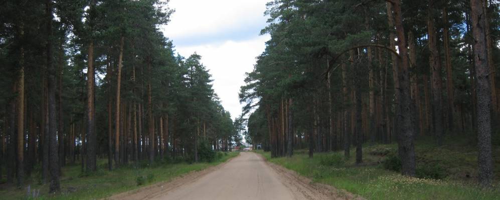 
            Фотография Громошихи