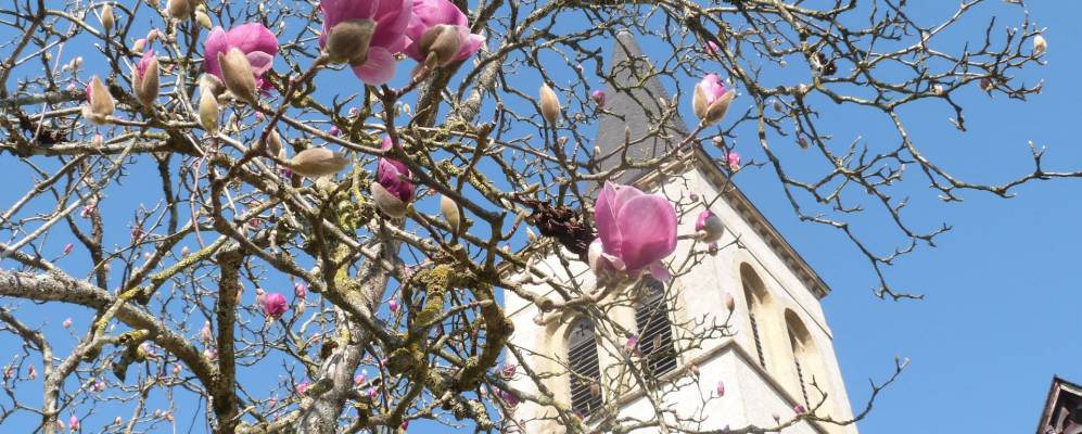 
            Фотография Ассона