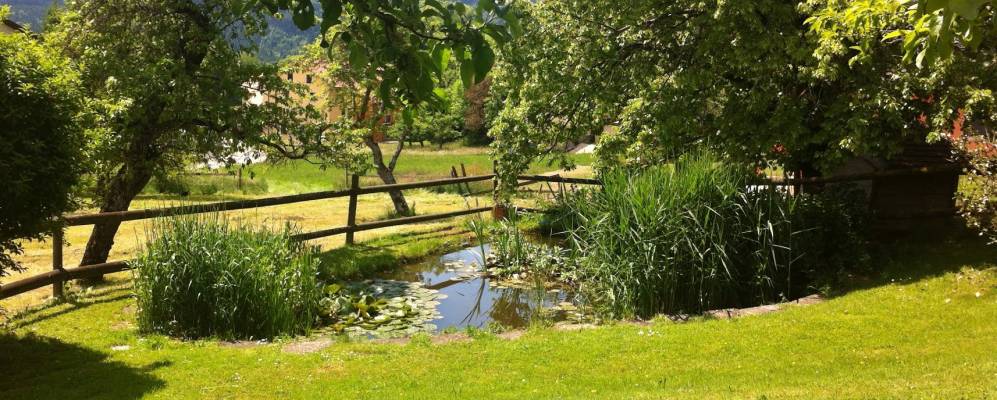 
            Фотография Атталенса