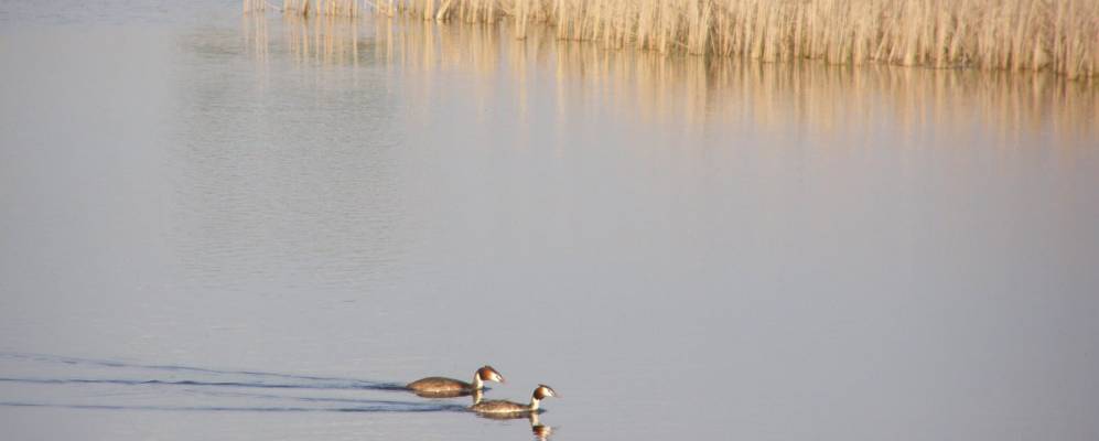 
            Фотография Самоволи