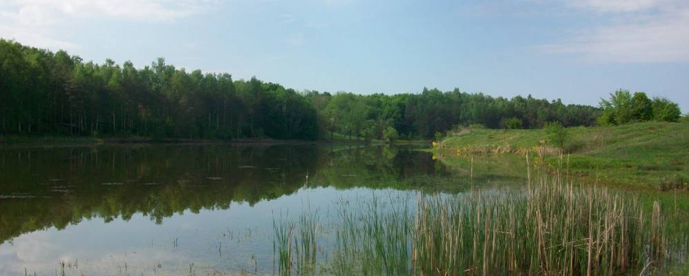 
            Фотография Ковалевки